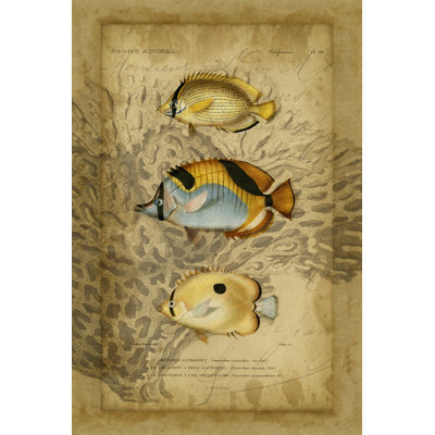 Non-Embellished Ocean Trilogy II 1 Piece Wrapped Canvas Wall Art