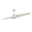  Ventilateur de plafond intérieur / extérieur Annasophia-820071556