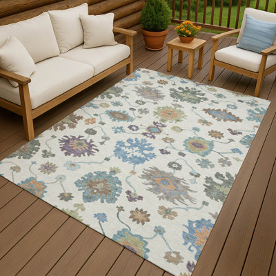 Machine Washable Indoor/Outdoor Chantille ACN2532 Traditional Rug