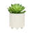 S/2 6/8" Textured Planters-1164898299