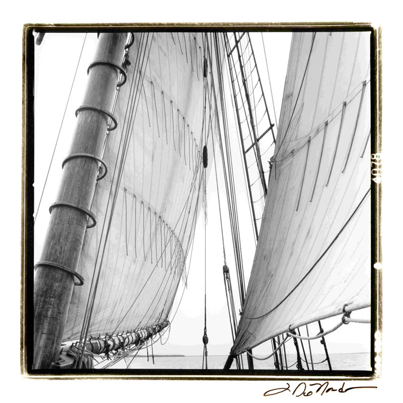 Under Sail II, H 12 po x l 12 po