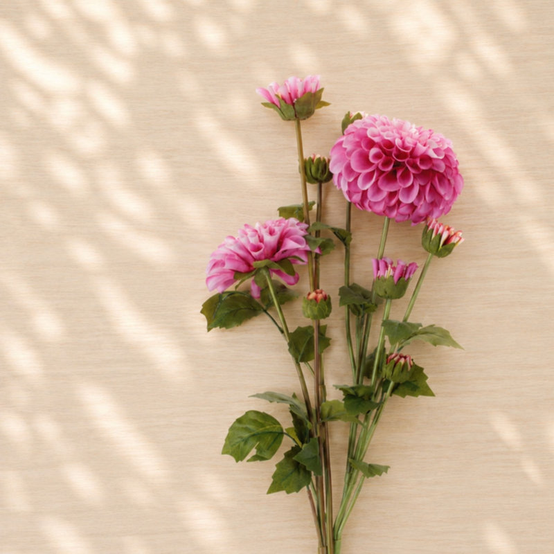 Ensemble de fleurs Zinnia (ensemble de 2), Rose