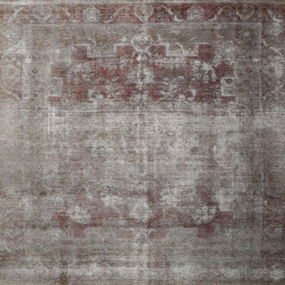 Oriental Indoor Rug