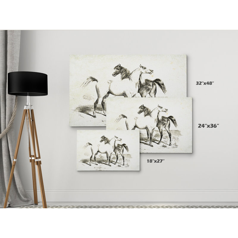 « équin sketch xxviv », impression, H 18 po x l 27 po x P 1,5 po, Pas de tapis, Toile tendue