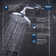 TIMELESS PRESSURE BALANCE SHOWER SET