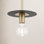 Single Light Dimmable Pendant