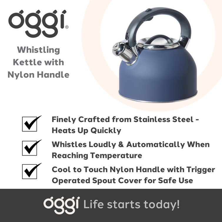 AGA Stainless Steel Whistling Kettle Polished – AGA Range USA