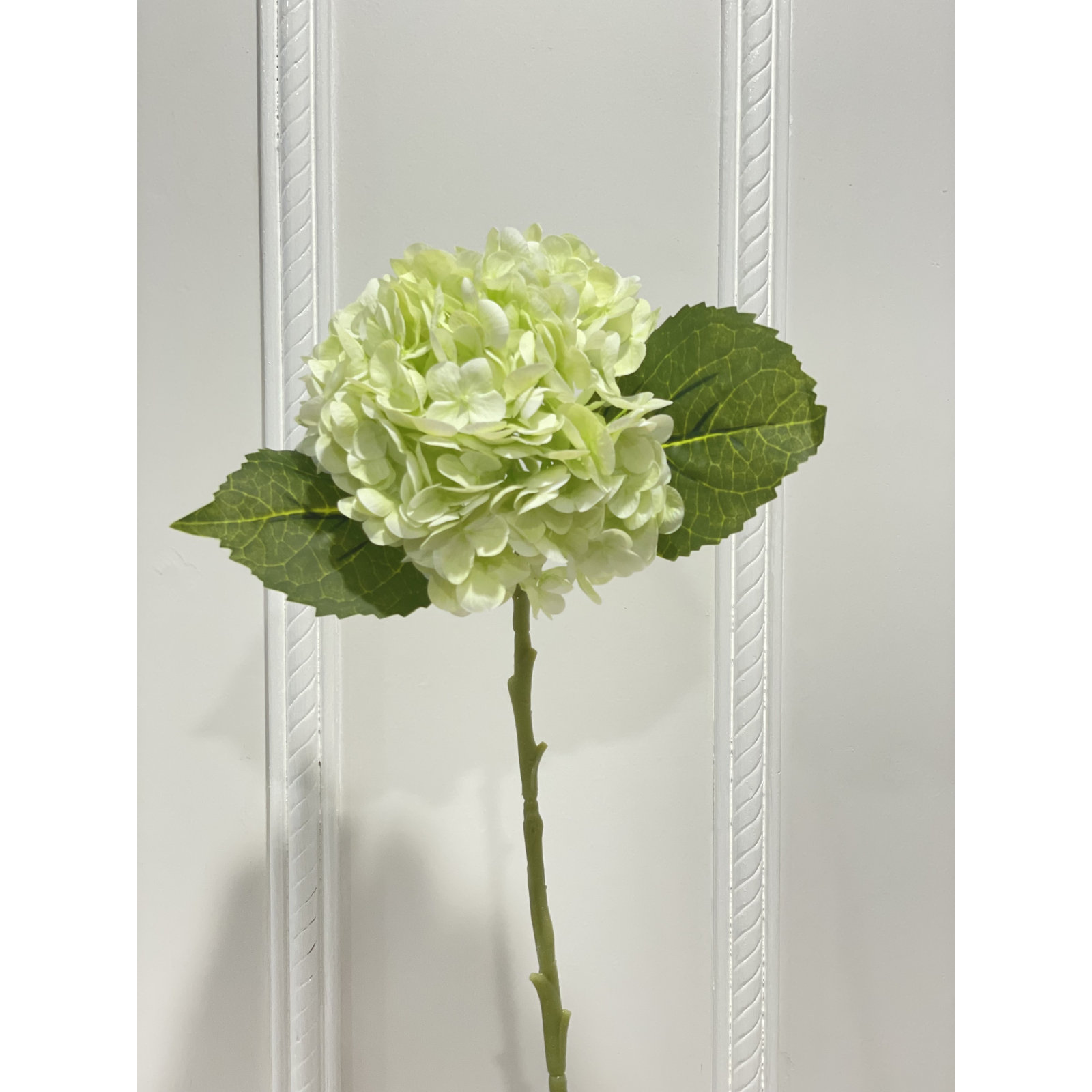 Hydrangea Stem, Light Green