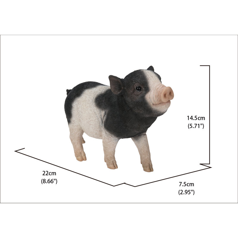 Bébé cochon debout, Noir / blanc