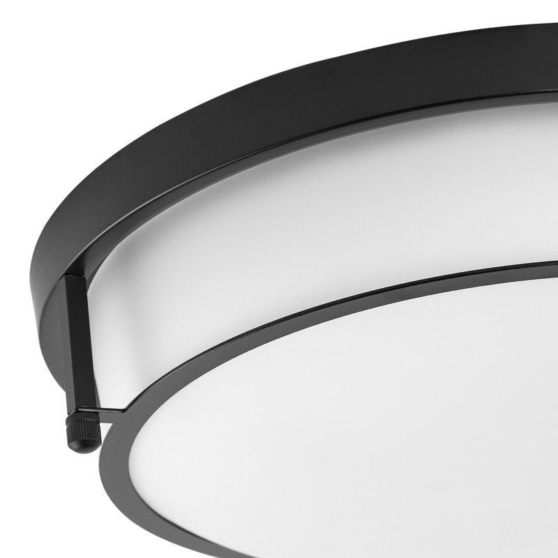 2-Lamp Black Dimmable Glass Iron Industrial Ceiling Light