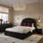 Loya Velvet Queen Bed-101319076-101319077