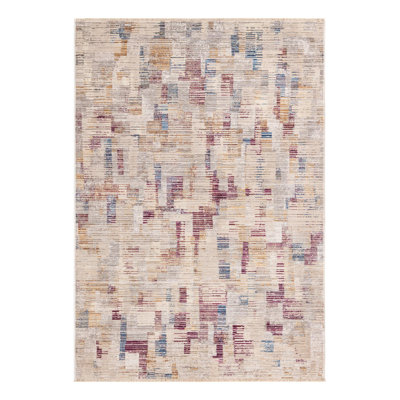 Indoor Rug