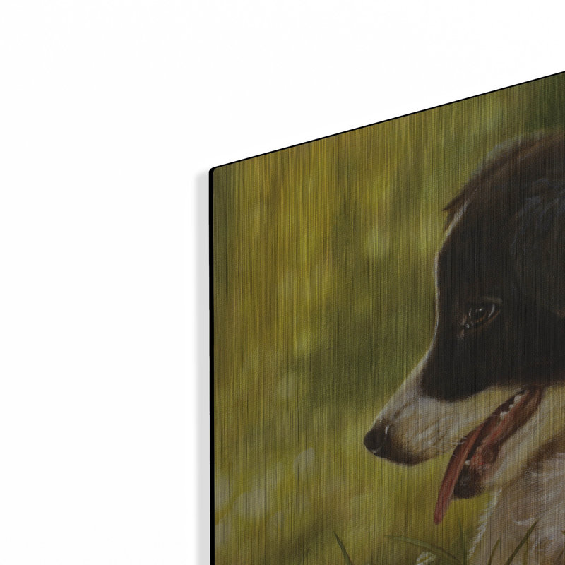 «Border Collie Garden» par John Silver