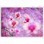 Orchid Blossom Abstraction - No Frame Print on Canvas-813489128