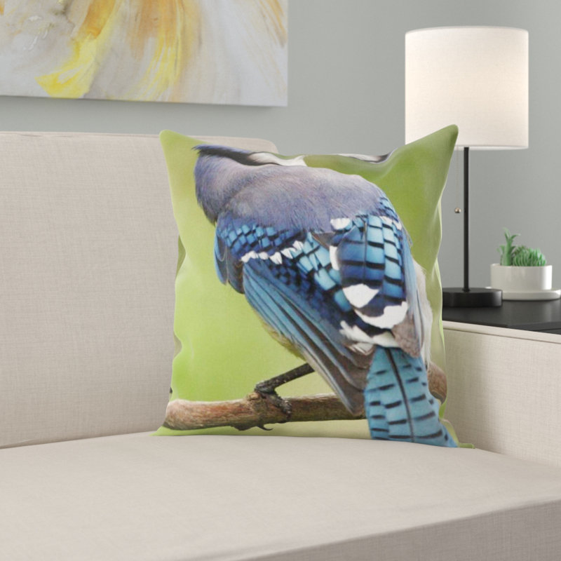 Coussin oiseau
