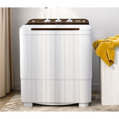 2-in-1 Portable 22lbs Capacity Washing Machine with Timer Control - Costway