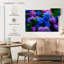 Jardin d'hortensias-1625770675