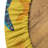 Bungalow Rose Kangaroo Fitted Round Tablecloth Multicolor 74583-733854163