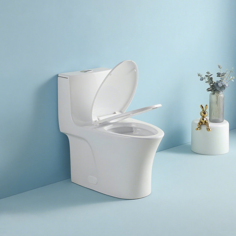 1000 Gram Map Flushing Score 1.1/1.60 One Piece Toilet, Elongated Comfort Height, Soft Closing Seat, Water, Glossy White, Easy To Install Height Toilet With , Design, Water Floor Installation Way,