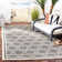 Dirks Performance Geometric Rug