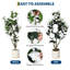 Arrangement