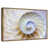 Floating Frame Gold
