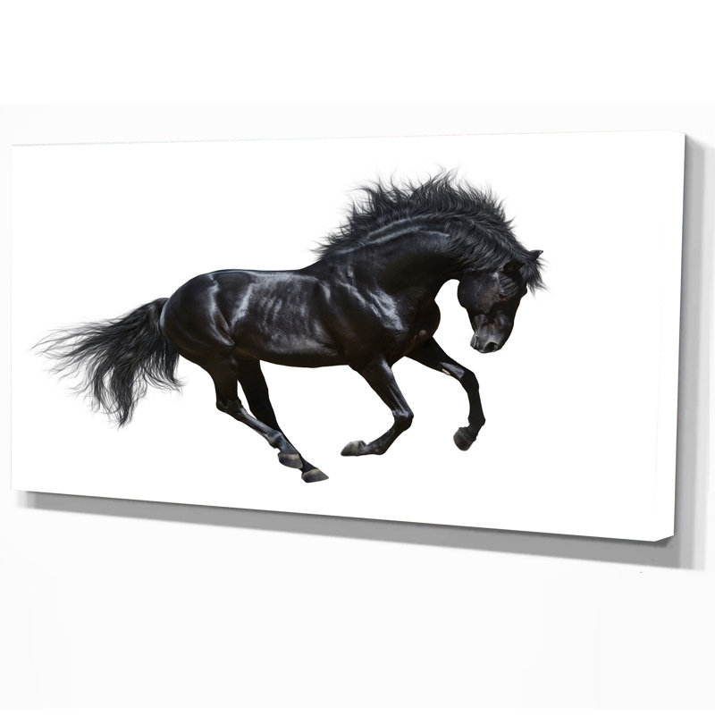 «Black Stallion in Motion», impression sur toile tendue, H 16 po x l 32 po x P 1 po