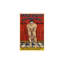 Art mural 24 po x 36 po Houdini-1078418504