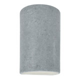 Ambiance Collection™ Outdoor Flush Mount