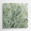 Aquarelle, botanique, 74, art mural vert en métal-36710711