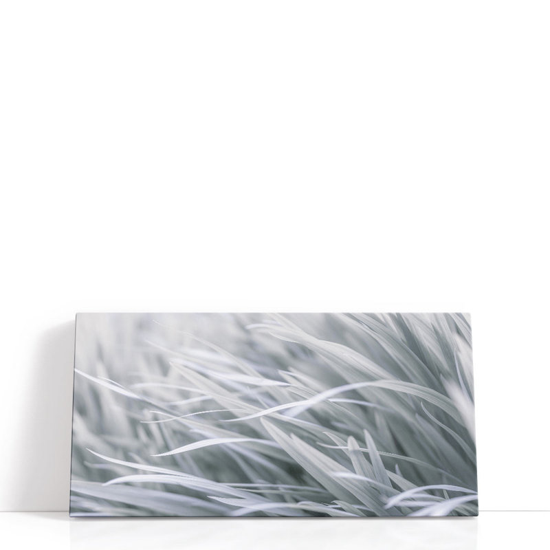 Feuilles - reproduction d'art sur toile, H 15 po x l 30 po