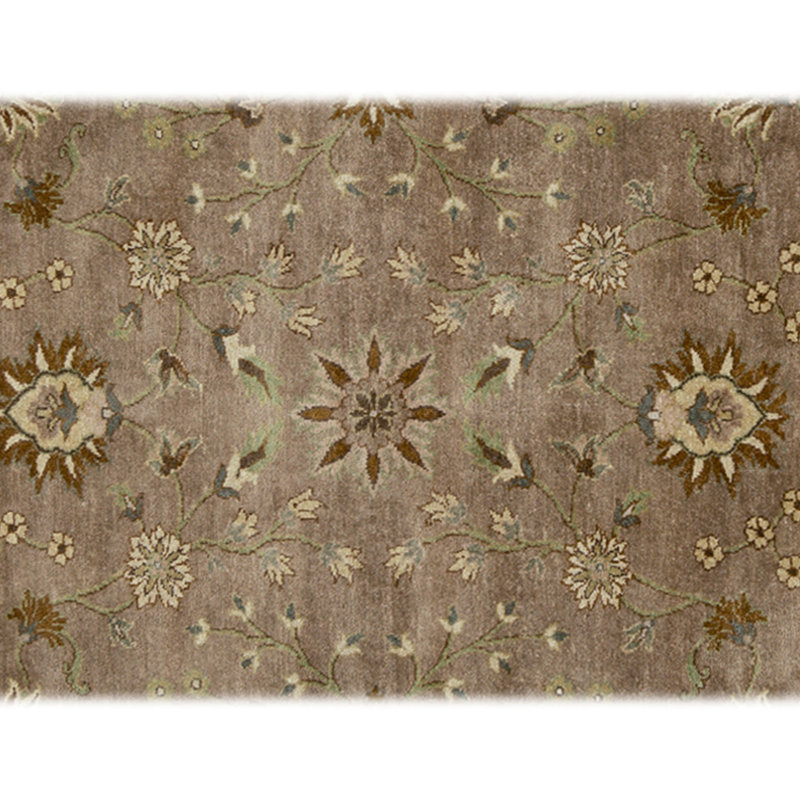 Hand Knotted Wool Oriental Area Rug in Brown And Ivory