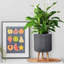 Concrete Effect Cylinder Round Planter on Hardwood Legs, Round Indoor Plant Pot Stand for Indoor Plants, Indoor Flower Pot with Ribbed Pattern-529439275-529439269