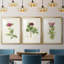 «Pretty Pink Botanicals II», reproduction sur mesure encadrée de qualité supérieure - 3 pièces-2145477661-2145477664