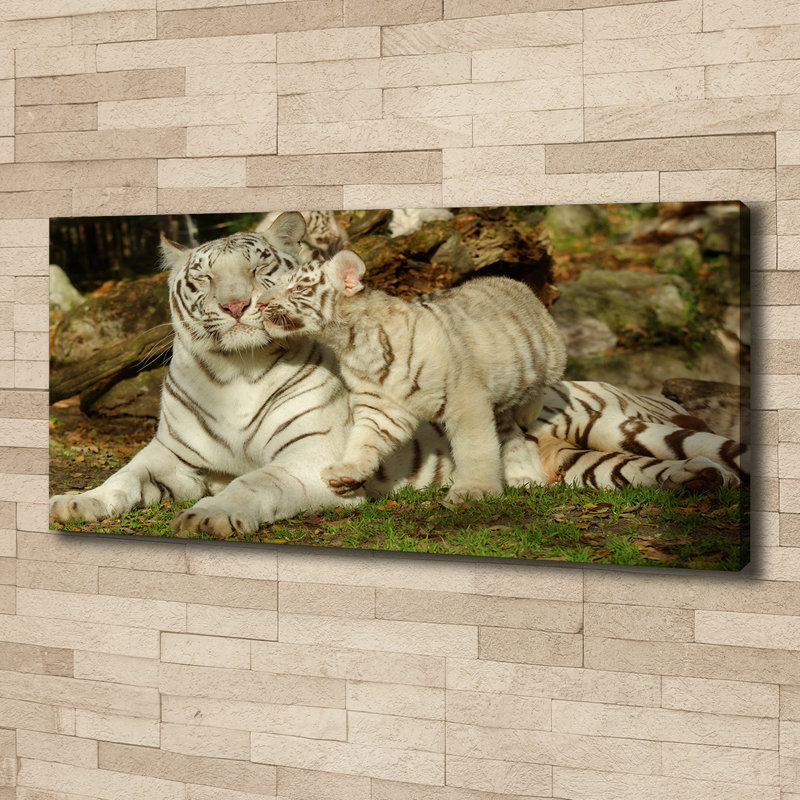 Tigers - Wrapped Canvas Print