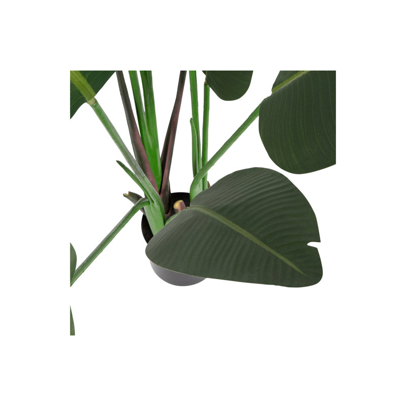164cm Faux Strelitzia Plant in Planter