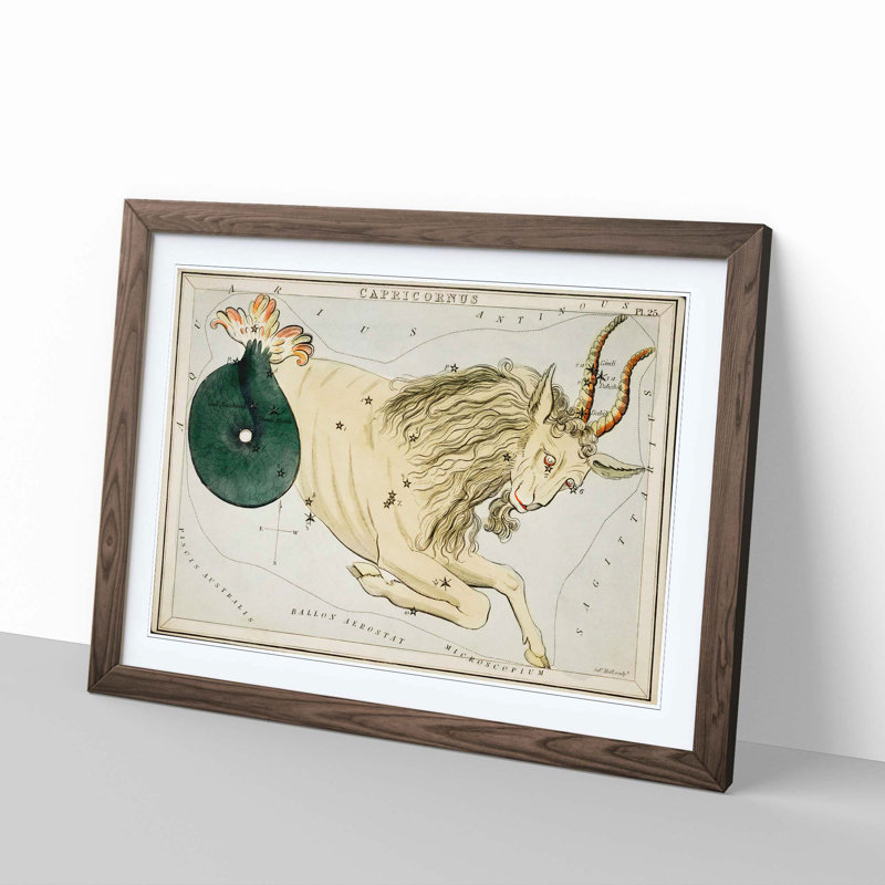 Astronomical Zodiac Chart Of The Capricorn - Single Picture Frame Painting, 45cm H x 63cm W x 2cm D, Walnut