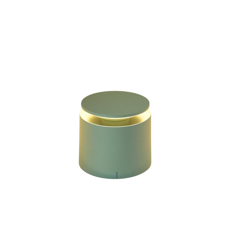 Pushup Pro Table Lamp, Sage