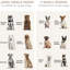 Niche pour chien en chêne avec portes coulissantes et espace de rangement, 47 po x 23,5 po, 35 caisses, grand espace de rangement et look moderne, 47 po x 23,5 po x 35 po