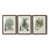 Noyer sélectionné
