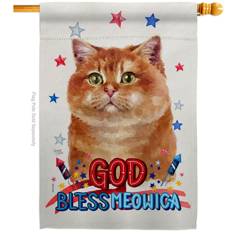 Drapeau de maison patriotique en polyester 3 faces 2 x 2 pi
