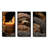 Brown Sloth Serenity Sleep - Sloth Wall Art-1852646216-1852646217