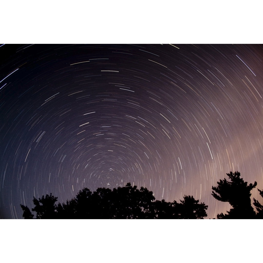 Star Trails In North Woods von Hiramtom - Drucken