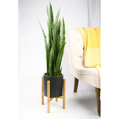 Dunwoody Handmade Planter