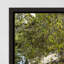 Eden Print by Adam Mowery-73260549-73304006
