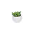 3'' Faux Succulent Plant in Ceramic Pot