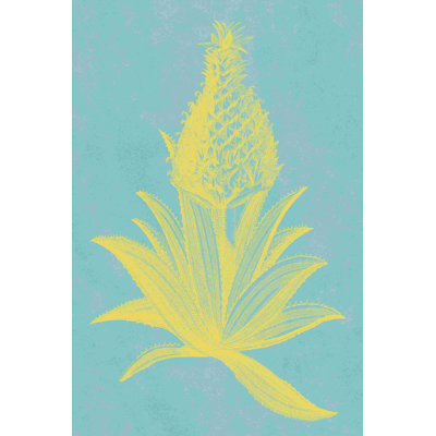 Ananas frais I