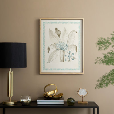 Willow Blue Besler V Framed Print - Solid Wood