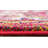 Eddins Washable Floral Indoor Rug-20627057
