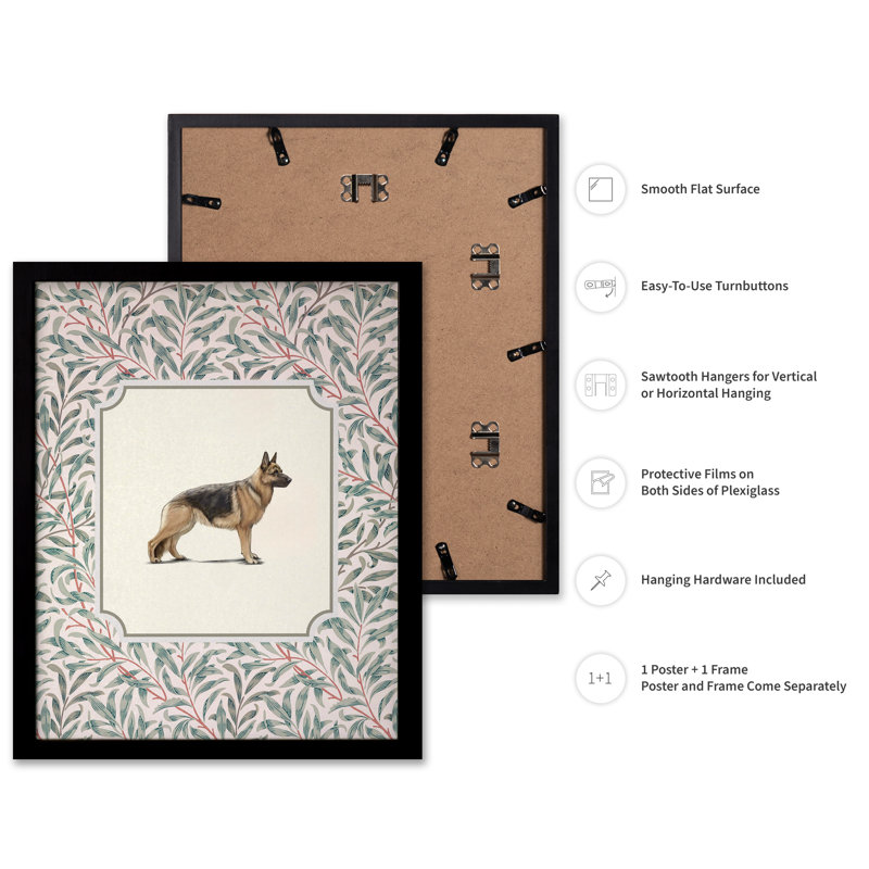 Berger allemand, Black Framed, Poster, 18"H x 24"W